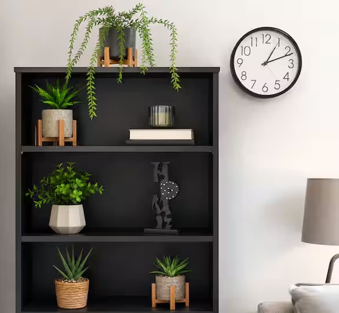 Bookshelf with plants and decor